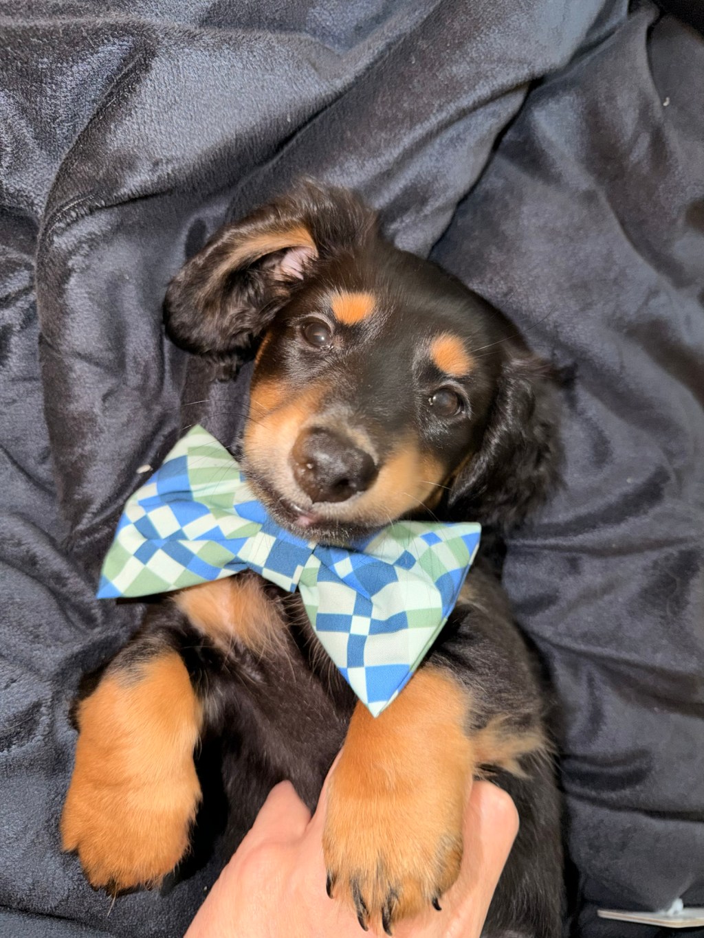 I mean… he’s too&nbsp;cute.